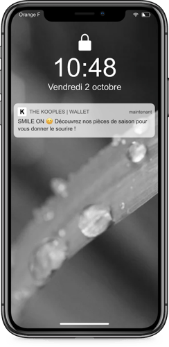 Notif du sourire The Kooples