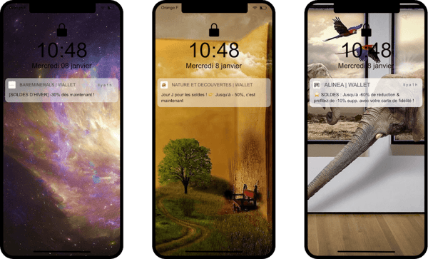 Notifications push Bareminerals, Nature & Découvertes et Alinea pendant les soldes dhiver 2020 - Captain Wallet